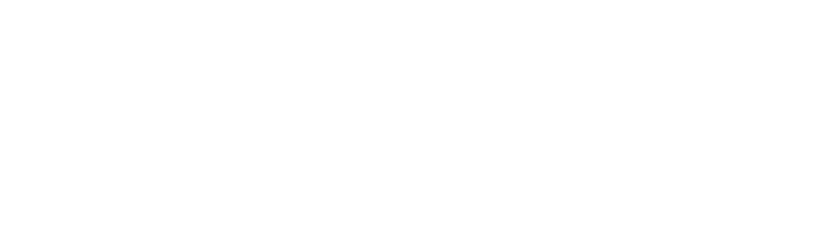 Pro Patio logo light